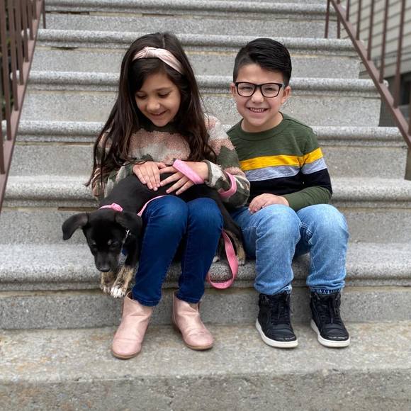 Meet your Posher, Stephanie - Picture 1 of 1